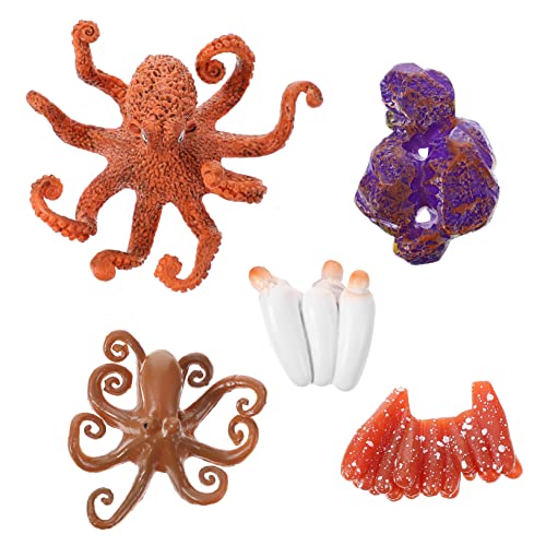 JOINPAYA 1Satz Realistisches Octopus Wachstumszyklus Modell Pädagogisches Für Lebenszyklus Figur Miniatur Octopus Modell Für Frühkindliche Entwicklung Und Lebensbewusstsein JOINPAYA 1Satz Realistisches Octopus Wachstumszyklus Modell Pädagogisches Für Lebenszyklus Figur Miniatur Octopus Modell Für Frühkindliche Entwicklung Und Lebensbewusstsein von JOINPAYA