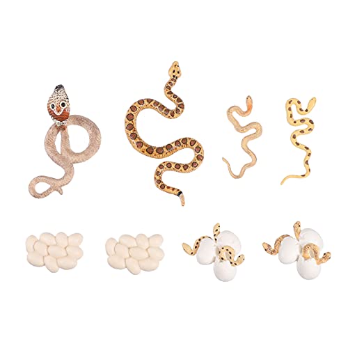 JOINPAYA 2 Sets Reptile Models Und Python Wachstumszyklus Figuren Für Kinder JOINPAYA 2 Sets Reptile Models Und Python Wachstumszyklus Figuren Für Kinder von JOINPAYA