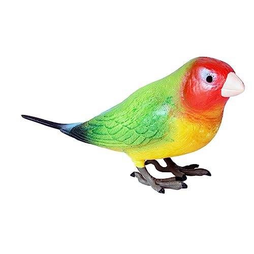 JOINPAYA 2 Stck. Papagei Modell Desktop-Dekoration Modell Einer Papageienfigur Papagei Handwerk Lehrhilfe simuliertes Papageienspielzeug lebendige Vogelfigur Plastik Colorful von JOINPAYA