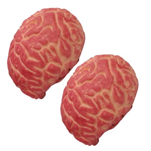 JOINPAYA 2 Stück Gehirn Halloween Decorations halloweendekorationen Bloody Brain Prop Halloween Scary Props Prank Props dekoracje wielkanocne Halloween Realistic Props Halloween-Körperorgan JOINPAYA 2 Stück Gehirn Halloween Decorations halloweendekorationen Bloody Brain Prop Halloween Scary Props Prank Props dekoracje wielkanocne Halloween Realistic Props Halloween-Körperorgan von JOINPAYA