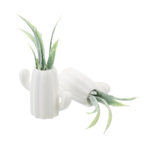JOINPAYA 2 Stück Miniaturpflanzen für Puppenhäuser Bonsai Töpfe Realistische Künstliche Pflanzen für Feengarten Dekoration Vielseitige Miniature Pflanzen für Heim und DIY Projekte von JOINPAYA