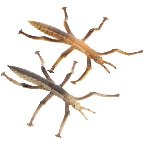 JOINPAYA Realistische Stabheuschreckenmodelle Insektenspielzeug Für Die Bildungsdekorationskollektion 2er-Pack JOINPAYA Realistische Stabheuschreckenmodelle Insektenspielzeug Für Die Bildungsdekorationskollektion 2er-Pack von JOINPAYA