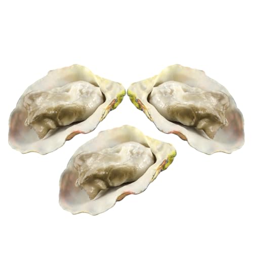 JOINPAYA 3st Oyster-Modell Krabbe Zubehör Fisch Muscheln Zum Basteln Strand Auster Kaurimuscheln Essen Miniaturlebensmittel Realistisch Food-Modell PVC JOINPAYA 3st Oyster-Modell Krabbe Zubehör Fisch Muscheln Zum Basteln Strand Auster Kaurimuscheln Essen Miniaturlebensmittel Realistisch Food-Modell PVC von JOINPAYA