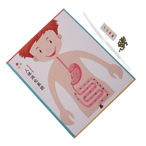 JOINPAYA 4 Sätze Digestive System Model DIY für Realistisches Lernmodell für Vorschule und Grundschule Interaktives Wissenschaftsspielzeug Kreativität Problemlösung und Anatomieverständnis JOINPAYA 4 Sätze Digestive System Model DIY für Realistisches Lernmodell für Vorschule und Grundschule Interaktives Wissenschaftsspielzeug Kreativität Problemlösung und Anatomieverständnis von JOINPAYA