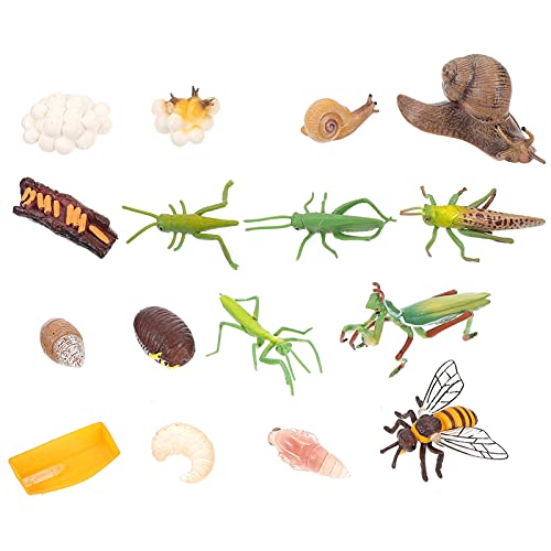 JOINPAYA Pädagogisches Bienenmodell-Set - 4-teiliges Lebenszyklus-simulationsspielzeug von JOINPAYA