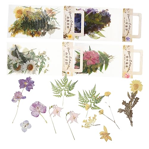JOINPAYA 4 Sets Haustier Aufkleber Pack Aufkleber DIY Aufkleber Bunte Aufkleber DIY Aufkleber Haustier Aufkleber Album Aufkleber Handkonto Aufkleber Pflanzenserie Aufkleber Pflanzenserie von JOINPAYA