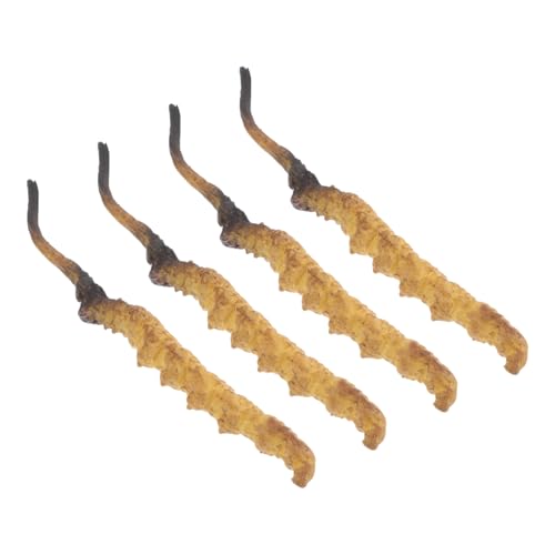 JOINPAYA 4 Stück Cordyceps -Modell Arztzubehör Arzt Rollenspiel Requisiten Modell Der Chinesischen Medizin Medizinische Spielzeugartikel Arztkoffer Plastik von JOINPAYA
