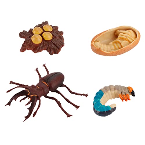 JOINPAYA 4 Stück Dekoration für kinderspielzeug spielzeuge Toys for spielsachen Children Toys Simulationsmodell Bildungsbedarf Wachstumsmodell Abs Coffee JOINPAYA 4 Stück Dekoration für kinderspielzeug spielzeuge Toys for spielsachen Children Toys Simulationsmodell Bildungsbedarf Wachstumsmodell Abs Coffee von JOINPAYA
