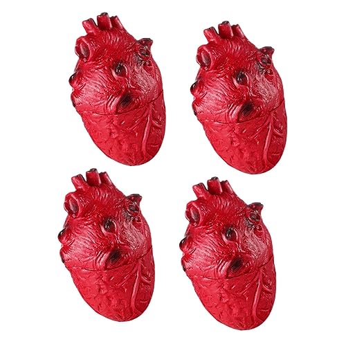 JOINPAYA 4 Stück Halloween Horror Menschliche Organe Simuliertes Herz Realistisches Herzmodell Skelett Gefälschtes Herz Halloween Requisite Halloween Dekorationen Party Jumbo von JOINPAYA