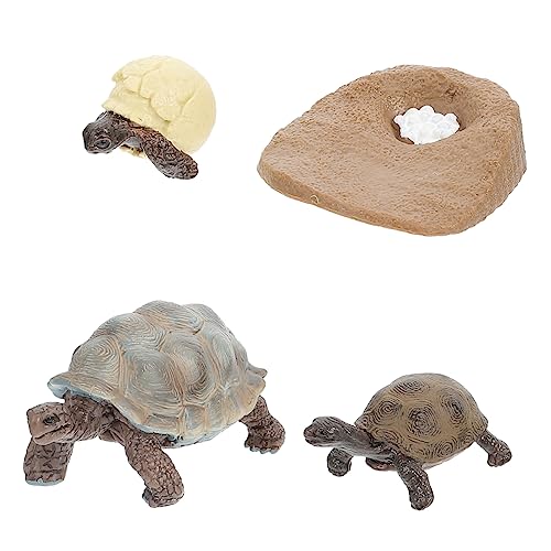 JOINPAYA 4 Stück Schildkrötenverzierung Schildkrötenfiguren Lebenszyklus-Ornamente Wachstumszyklus- -kit Tiere Design Desktop Schmücken Lebenszyklus-Statue Lebenszyklusfiguren PVC JOINPAYA 4 Stück Schildkrötenverzierung Schildkrötenfiguren Lebenszyklus-Ornamente Wachstumszyklus- -kit Tiere Design Desktop Schmücken Lebenszyklus-Statue Lebenszyklusfiguren PVC von JOINPAYA