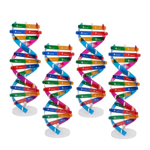 JOINPAYA 4 Stück Teiliges DNA Modell Doppelhelix Struktur Pädagogisches Wissenschaftsspielzeug Ab Jahren DIY Bausatz für Menschliche Gene Biologisches Lehrmaterial für Interaktiven JOINPAYA 4 Stück Teiliges DNA Modell Doppelhelix Struktur Pädagogisches Wissenschaftsspielzeug Ab Jahren DIY Bausatz für Menschliche Gene Biologisches Lehrmaterial für Interaktiven von JOINPAYA