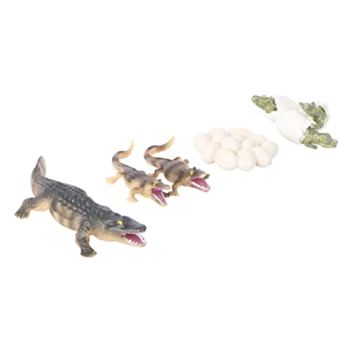 JOINPAYA 4 Stücke Tier Wachstum Zyklus Figuren Spielzeug Pädagogisches Leben Zyklus Modell Set JOINPAYA 4 Stücke Tier Wachstum Zyklus Figuren Spielzeug Pädagogisches Leben Zyklus Modell Set von JOINPAYA
