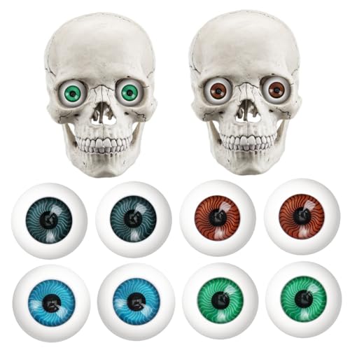 JOINPAYA 8 Stück Teiliges Halloween Augen Kunststoff Augäpfel Halbrund Hohl in Braun Blau Grün für Horror Requisiten Kostüme Cosplay Party Dekoration von JOINPAYA