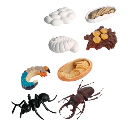 JOINPAYA 8 Stück Teiliges Realistisches Insekten Wachstumszyklus Modell Detailgetreute Arbeiterameisen Simulation Pädagogisches und Dekoratives Lernmodell für Kinderzimmer von JOINPAYA