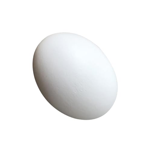 JOINPAYA DIY Eier Weiße Bemalte Simulations Eier Für Zum Basteln Und Gestalten Perfekt Für Ostern Und Kreative Projekte von JOINPAYA