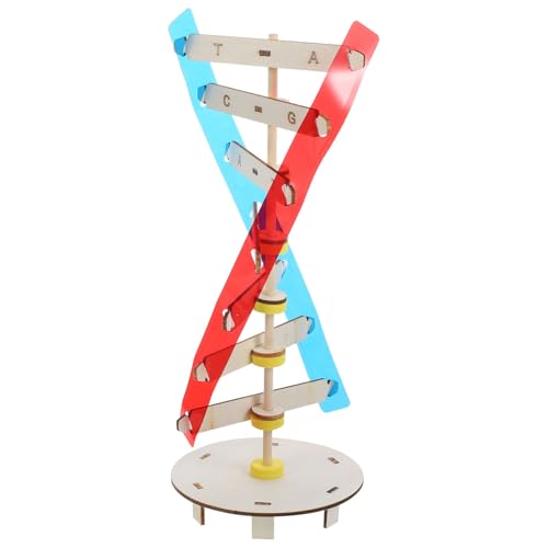 JOINPAYA DNA Modell Spielzeugmodelle Werkzeuge Für Wissenschaftliches Lehrinstrument Gene Lernwerkzeug Wissenschaftsmodell Wissenschaftliches Wissenschaftsspielzeug DNA von JOINPAYA