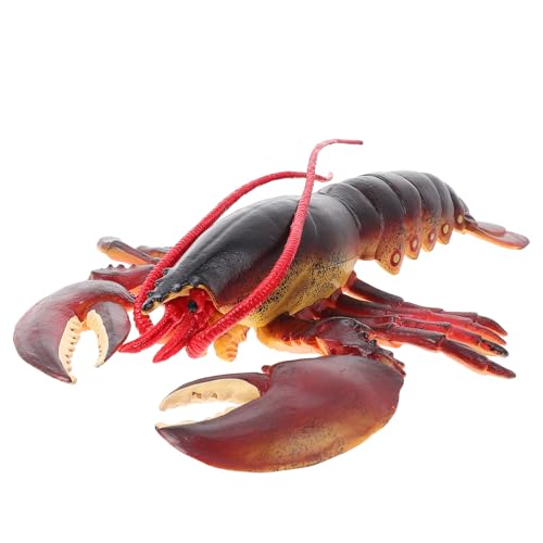JOINPAYA Hummer-Modell-Ornament Tierfiguren für für geschenketueten Pädagogisches Hummer Figur Modell eines Meeresbewohners PVC JOINPAYA Hummer-Modell-Ornament Tierfiguren für für geschenketueten Pädagogisches Hummer Figur Modell eines Meeresbewohners PVC von JOINPAYA