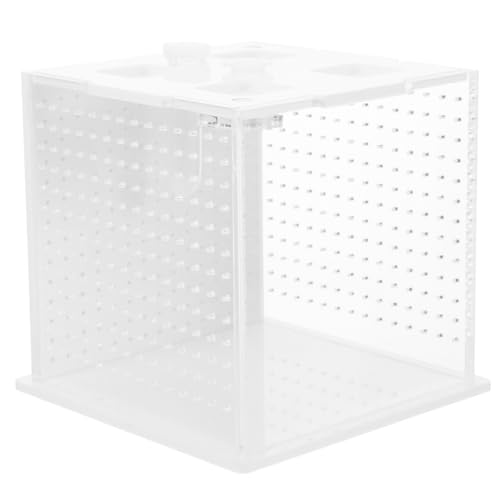JOINPAYA Kastenkasten Brutkasten für Stabheuschrecken Fall Einer Reptilienzucht Haustierfälle Futterkasten für Reptilien klare Behälter zum Füttern Reptiliengehäuse Acryl Transparent von JOINPAYA