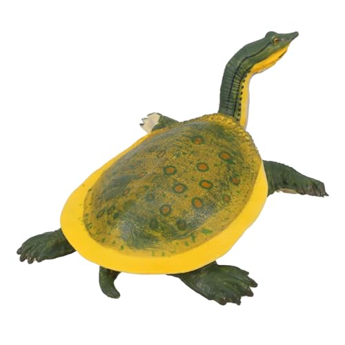 JOINPAYA Lebensechte Simulation Tiermodell Kleines Ornament Mini Figur Skulptur Küsten Winzige Kleine Schildkröte Erwachsene Simulation Tierfigur Plastik Tiermodell Gefälschtes Tiermodell JOINPAYA Lebensechte Simulation Tiermodell Kleines Ornament Mini Figur Skulptur Küsten Winzige Kleine Schildkröte Erwachsene Simulation Tierfigur Plastik Tiermodell Gefälschtes Tiermodell von JOINPAYA