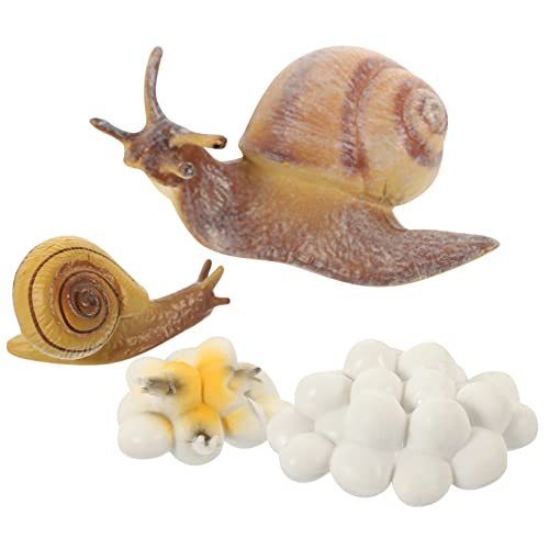 JOINPAYA Lernspielzeug Schnecken Lebenszyklus Modell Set aus Hochwertigem Realistische Schneckenfiguren für Naturerkundung und Kognitive Entwicklung Teilig Zufälliger Stil JOINPAYA Lernspielzeug Schnecken Lebenszyklus Modell Set aus Hochwertigem Realistische Schneckenfiguren für Naturerkundung und Kognitive Entwicklung Teilig Zufälliger Stil von JOINPAYA
