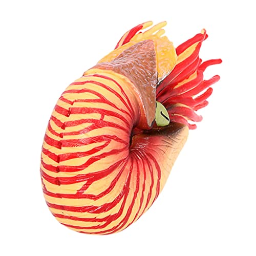 JOINPAYA Nautilus Modell aus Kunststoff Simuliertes Meerestier für Realistische Form Details Lernspielzeug für Tierarten Aquariumsdeko oder von JOINPAYA