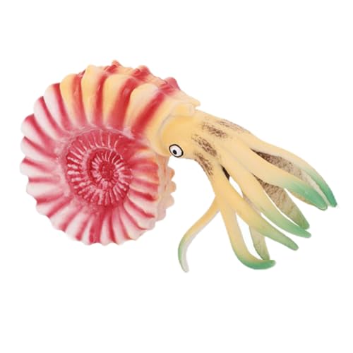 JOINPAYA Tier Figuren Nautilus Spielzeug Realistische Kunststoff Modell Jungen Und Mädchen Fantasievolles Spielzeug Wohnkultur JOINPAYA Tier Figuren Nautilus Spielzeug Realistische Kunststoff Modell Jungen Und Mädchen Fantasievolles Spielzeug Wohnkultur von JOINPAYA