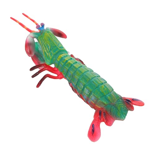 JOINPAYA Realistische Garnelenfigur Simulationsgarnelenfigur Cartoon Mantisgarnelenfigur Modell Gefälschte Garnelen Kognitives Modell Kleines Mantisgarnelenspielzeug von JOINPAYA