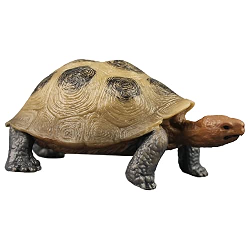 JOINPAYA Realistische Land Schildkröten Figur aus Hochwertigem PVC Stabile Plastik Landschildkröte als Edukatives Modell und Dekoratives Gartenspielzeug für Schulprojekte und Partydeko von JOINPAYA