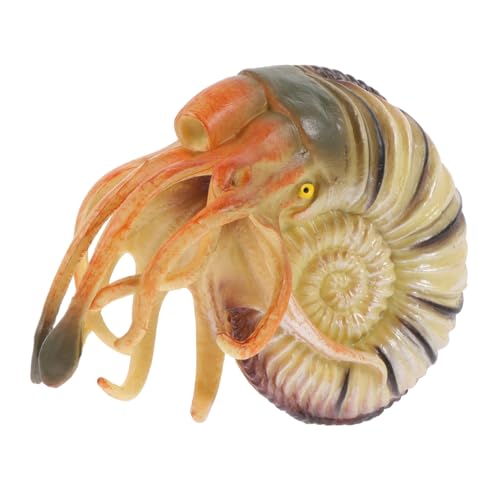 JOINPAYA Simuliertes Nautilus Modell Tier Figur Dekor Lernspielzeug Kreatives Meeresbewohner Modell für Schreibtisch und Zimmer JOINPAYA Simuliertes Nautilus Modell Tier Figur Dekor Lernspielzeug Kreatives Meeresbewohner Modell für Schreibtisch und Zimmer von JOINPAYA