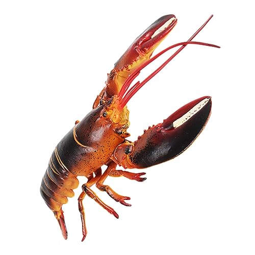 JOINPAYA 13 Zoll Großes Realistisches Hummerspielzeug Große Australische Tierfigur Zur Dekoration Zum Lernen und für Das Spielen mit Der Familie von JOINPAYA