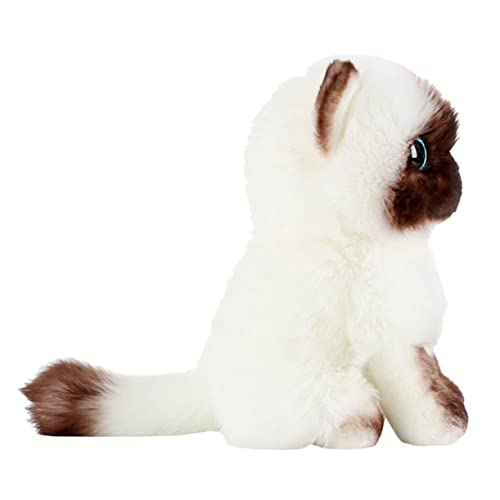 JOINPAYA tierisches Plüschtier Puppen kinderpuppe Fun Toy spielzeugkatze siamkatze Plüschpuppendekor gefüllte Plüschpuppe Plüschspielzeug für siamesische Katzen Tiere Puppe Plüsch- von JOINPAYA