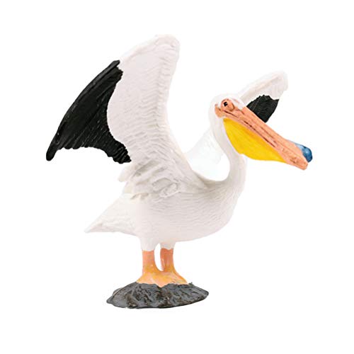 FLORMOON Vogelspielzeug – realistische alte Pelikan-Tierfiguren – Simulierte Kunststoff-Tiermodelle Spielzeug Lernspielzeug für Mädchen Kinder Kleinkinder von JOKFEICE
