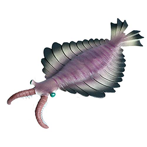 JOKFEICE Realistische Tier Figuren Anomalocaris Meer Tier Spielzeug, Wissenschaft Projekt, Kuchen Topper, frühen Pädagogisches Spielzeug Geburtstag Weihnachten Geschenk für Kleinkinder JOKFEICE Realistische Tier Figuren Anomalocaris Meer Tier Spielzeug, Wissenschaft Projekt, Kuchen Topper, frühen Pädagogisches Spielzeug Geburtstag Weihnachten Geschenk für Kleinkinder von JOKFEICE