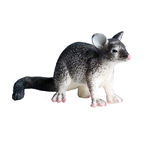 JOKFEICE Realistische Tier Figuren Opossum Figuren, Wissenschaft Projekt, Kuchen Topper, frühen Pädagogisches Spielzeug Geburtstag Weihnachten Geschenk für Kleinkinder Kinder Alter 3 4 5 (Schwarz) von JOKFEICE