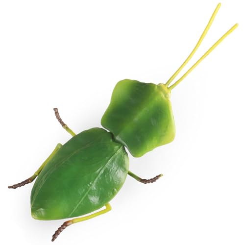 JOKFEICE Insektenfiguren, Realistische Choeradodis-Stabschrecke für Wissenschaftsprojekte, Lernspielzeug als Weihnachts- oder Geburtstagsgeschenk und Kuchendeko für Kinder JOKFEICE Insektenfiguren, Realistische Choeradodis-Stabschrecke für Wissenschaftsprojekte, Lernspielzeug als Weihnachts- oder Geburtstagsgeschenk und Kuchendeko für Kinder von JOKFEICE