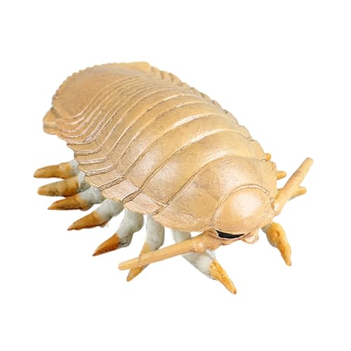 JOKFEICE Insektenfiguren, Realistische Riesenassel für Wissenschaftsprojekte, Lernspielzeug als Weihnachts- oder Geburtstagsgeschenk und Kuchendeko für Kinder JOKFEICE Insektenfiguren, Realistische Riesenassel für Wissenschaftsprojekte, Lernspielzeug als Weihnachts- oder Geburtstagsgeschenk und Kuchendeko für Kinder von JOKFEICE