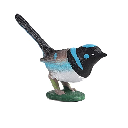 JOKFEICE Realistische Vogel-Figuren – Blauer Zaunkönig, Action-Modell, frühes Lernspielzeug, Geburtstagsparty-Geschenke, Cupcake-Topper, für Kinder JOKFEICE Realistische Vogel-Figuren – Blauer Zaunkönig, Action-Modell, frühes Lernspielzeug, Geburtstagsparty-Geschenke, Cupcake-Topper, für Kinder von JOKFEICE