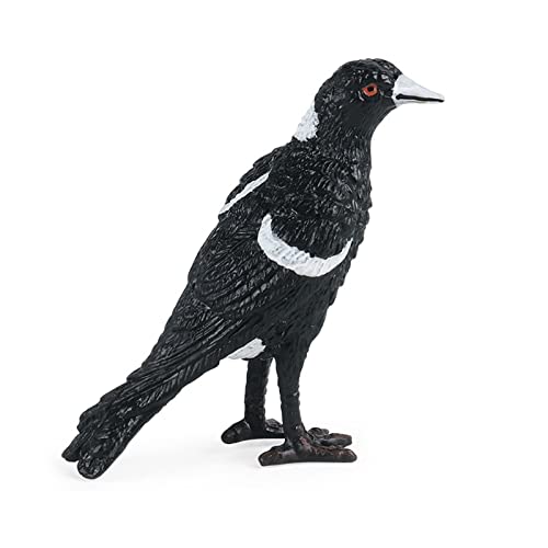 JOKFEICE Realistisches Vogelspielzeug – Elster aus Kunststoff, frühes Lernspielzeug, Geburtstagsparty-Geschenke, Cupcake-Topper, für Kinder JOKFEICE Realistisches Vogelspielzeug – Elster aus Kunststoff, frühes Lernspielzeug, Geburtstagsparty-Geschenke, Cupcake-Topper, für Kinder von JOKFEICE