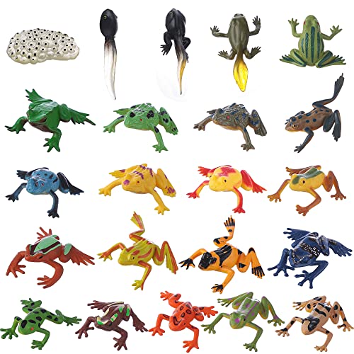 JOKFEICE Tierfiguren 22 STK Realistisch Froschfiguren Aktionsmodell für Wissenschaftsprojekt, Lernpädagogikspielzeug, Geburtstagsgeschenk, Kinder Kuchen Topper für Kinder JOKFEICE Tierfiguren 22 STK Realistisch Froschfiguren Aktionsmodell für Wissenschaftsprojekt, Lernpädagogikspielzeug, Geburtstagsgeschenk, Kinder Kuchen Topper für Kinder von JOKFEICE