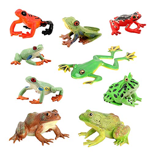 JOKFEICE Tierfiguren 7 Stück Realistische Kunststoff Frosch Familie Set Beinhaltet Bullfrog, Baum Frosch etc. Wissenschaft Projekt, Lernen Pädagogisches Spielzeug, Geburtstag Geschenk für Kleinkinder von JOKFEICE