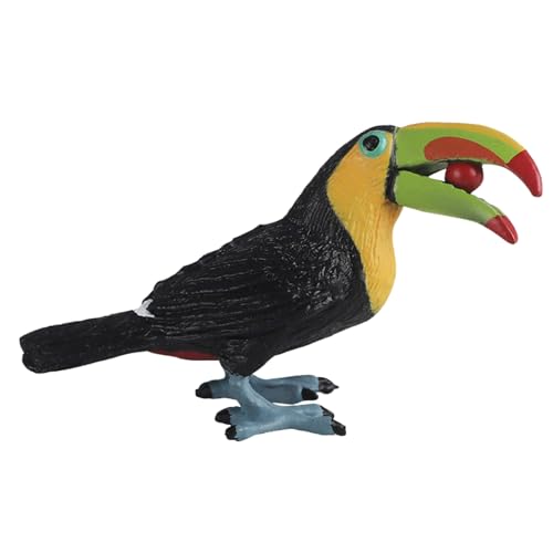 JOKFEICE Vogel-Figuren: realistischer Tukan, Feengarten-Zubehör, Lernspielzeug für Weihnachten & Geburtstag, Tortenaufsatz für Kleinkinder JOKFEICE Vogel-Figuren: realistischer Tukan, Feengarten-Zubehör, Lernspielzeug für Weihnachten & Geburtstag, Tortenaufsatz für Kleinkinder von JOKFEICE