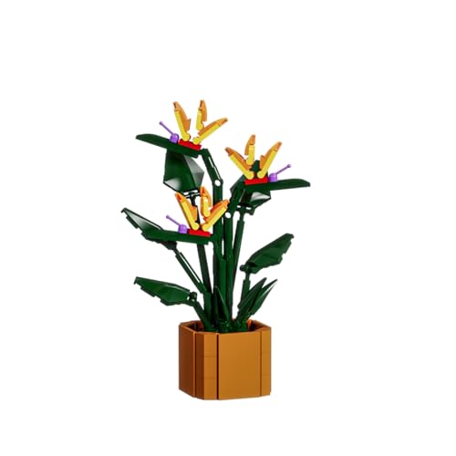 JOOZLEWELT Japanische Schläferlilie 320 pcs Blumen Sukkulenten Bonsai Baustein Set,Pflanzen Klemmbausteine Blumen,Blumen Bausteine Mädchen,Mini Flowers Botanische Deko,Room Decor Heimdekoration JOOZLEWELT Japanische Schläferlilie 320 pcs Blumen Sukkulenten Bonsai Baustein Set,Pflanzen Klemmbausteine Blumen,Blumen Bausteine Mädchen,Mini Flowers Botanische Deko,Room Decor Heimdekoration von JOOZLEWELT