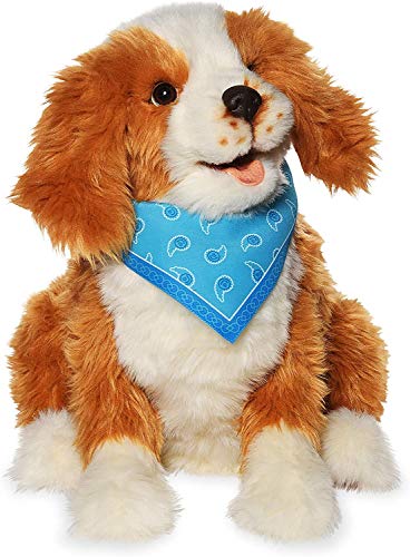 JOY FOR ALL 123000048002 Companion Pet braun/weiß von JOY FOR ALL