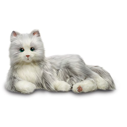 JOY FOR ALL A7594 Haustier, silberne Katze mit weißen Fäustlingen von JOY FOR ALL