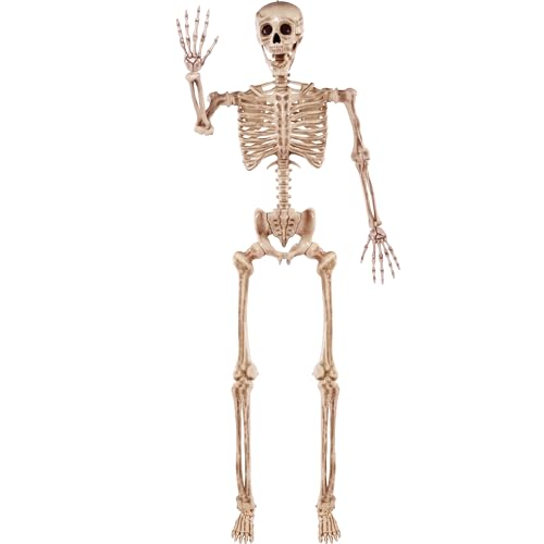 JOYIN 170 cm langes Halloween-Skelett in Lebensgröße, realistische Knochen mit beweglichen Gelenken für Halloween, Innen- und Außendekoration von JOYIN