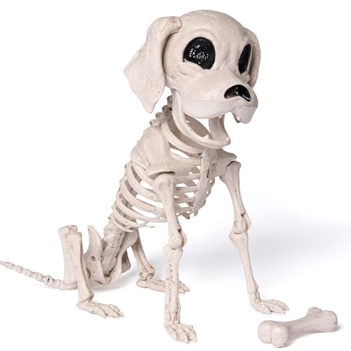JOYIN Halloween Hund Skelett Ganzkörper Posable Gelenke Skelett Welpe, Sitzendes Hunde Skelett Deko Mit Realistischen Zähnen für Halloween Dekoration Friedhof Spukhaus Party 24.8cm x 32cm von JOYIN