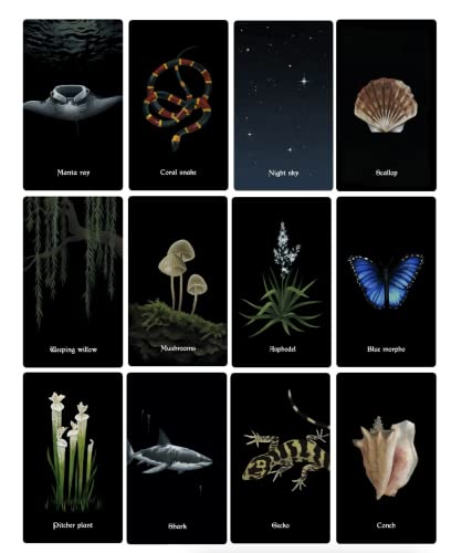 JP GAMES LTD Nocturna Orakel Deck - Inspiriert von den Pflanzen und Tieren der Nacht, handgezeichnet von Megan Wyreweden, Creeping Moon von JP GAMES LTD