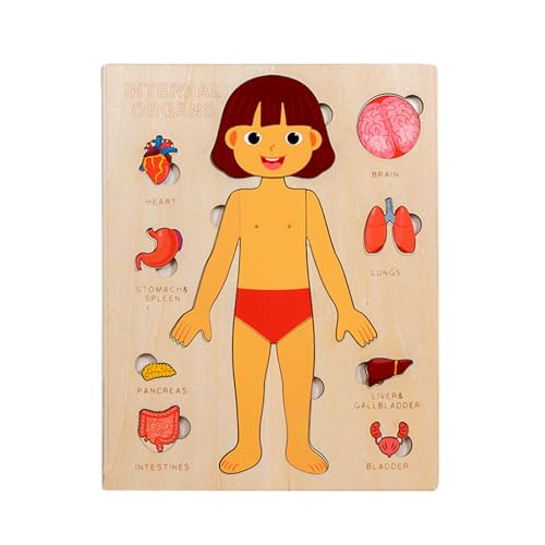 Körperteile für Kinder – Körperteile aus Holz, Lernspielzeug für Schule Mädchen Junge Schüler Spiel Unterricht Körperteile für Kinder – Körperteile aus Holz, Lernspielzeug für Schule Mädchen Junge Schüler Spiel Unterricht von JPSDOWS