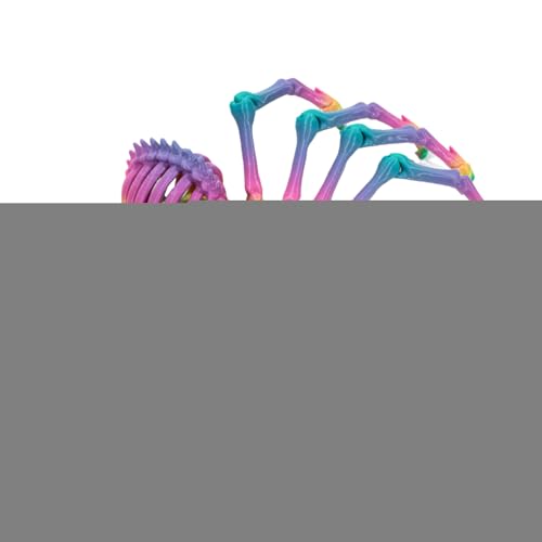 Spider Fidget Spielzeug, 3D-gedruckter Spider Fidget | 3D-gedruckte bewegliche Gelenke | Mystery Gelenke für Erwachsene, Executive Schreibtischspielzeug für Zuhause Spider Fidget Spielzeug, 3D-gedruckter Spider Fidget | 3D-gedruckte bewegliche Gelenke | Mystery Gelenke für Erwachsene, Executive Schreibtischspielzeug für Zuhause von JPSDOWS