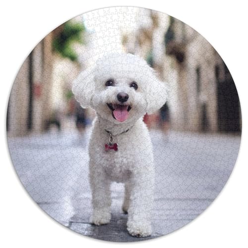 Bichon Frise 1000 Teile Rundes Puzzle Schwer Stressabbau Spielzeug Fü Erwachsene Puzzle Für Wand Dekoration Spielzeug Für Erwachsene Kinder Für Erwachsene 1000pcs (67.5x67.5cm) von JRVASNXOP